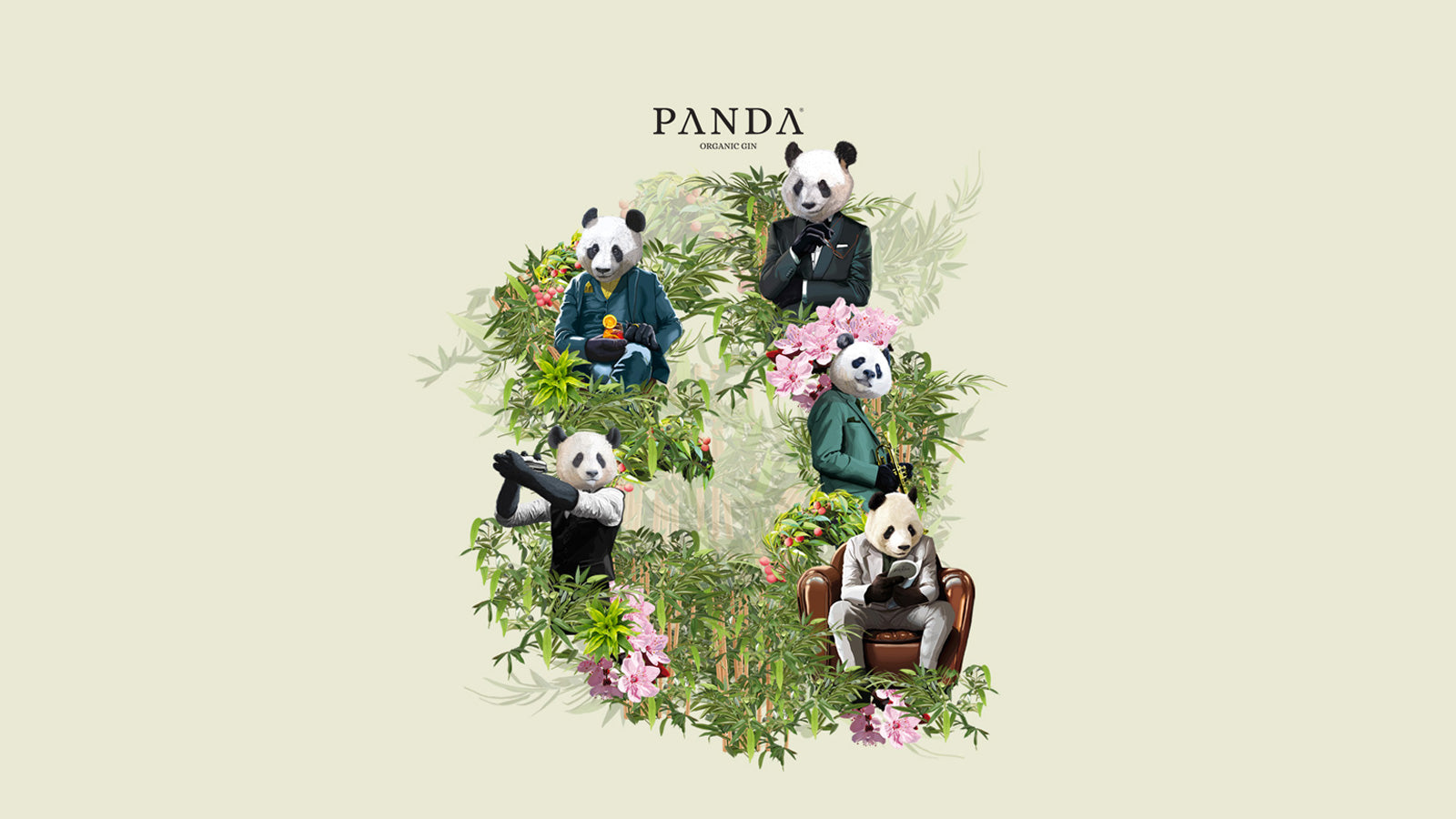 Photo Panda Gin et illustrations