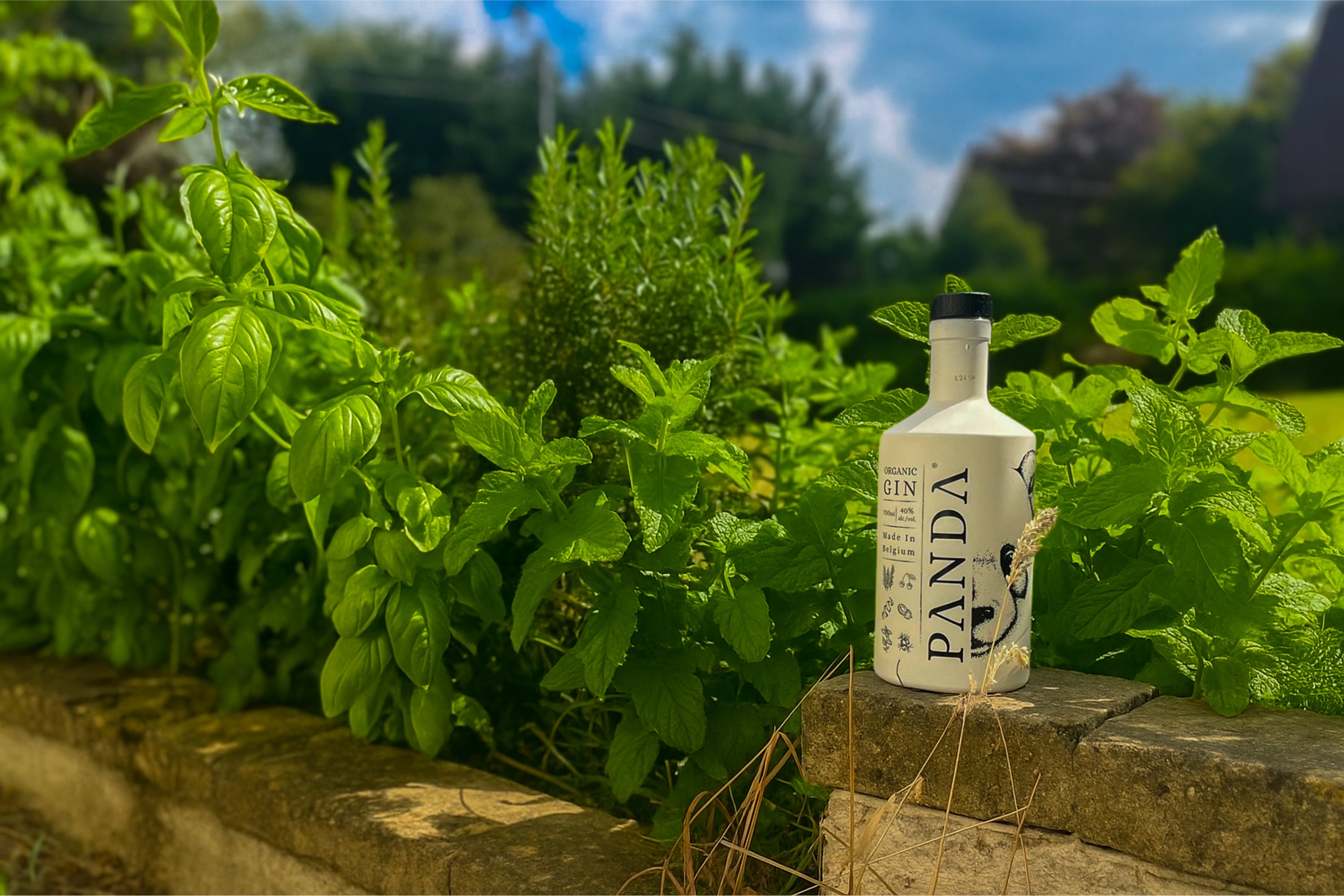 Panda Gin à la maison : vos garnitures à cultiver